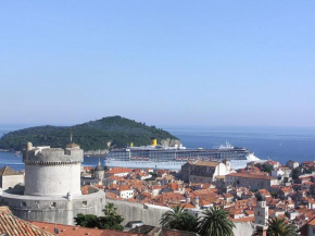 Panoramic apartment Lujak